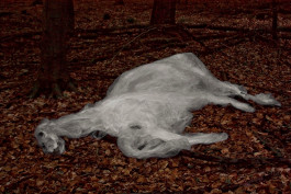 NEXT TIME THERE WILL RIDE ON DEAD HORSES 